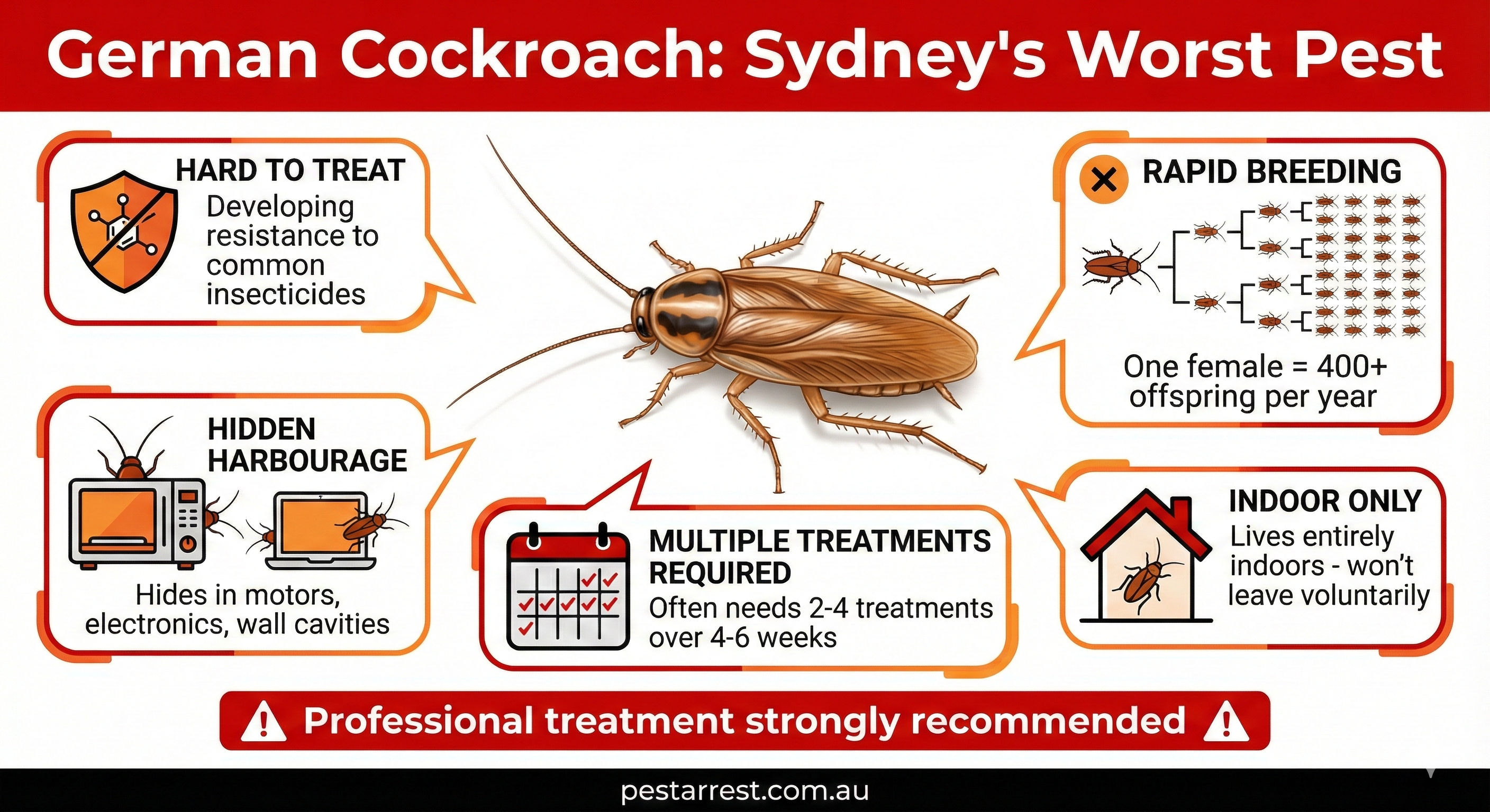 Infographic showing why German cockroaches are Sydney's worst pest including rapid breeding with 400 plus offspring per year, indoor only habitat, hard to treat due to insecticide resistance, hidden harbourage in electronics and wall cavities, and multiple treatments required over 4-6 weeks