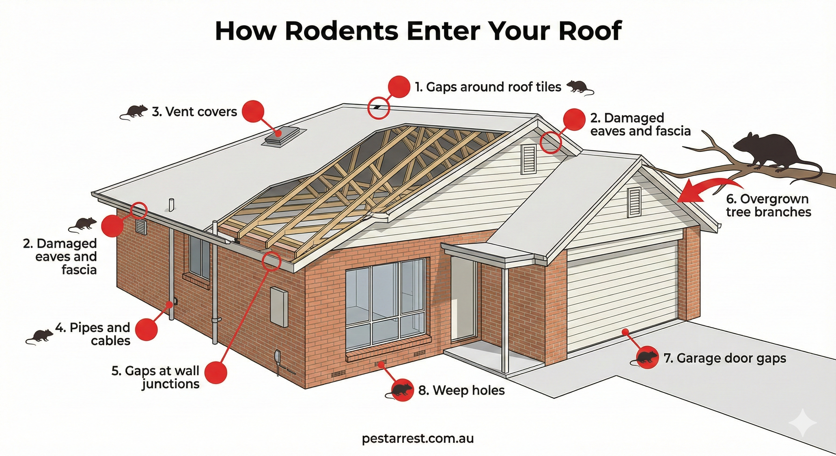 Diagram of Australian house showing common rodent entry points including gaps around roof tiles, damaged eaves and fascia, vent covers, pipes and cables, wall junctions, tree branches, garage door gaps, and weep holes