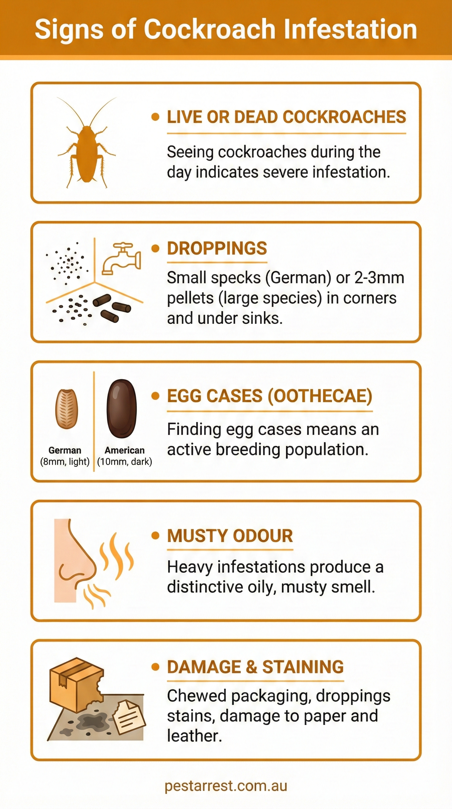 Infographic showing five signs of cockroach infestation including live or dead cockroaches, droppings, egg cases called oothecae, musty odour, and damage and staining