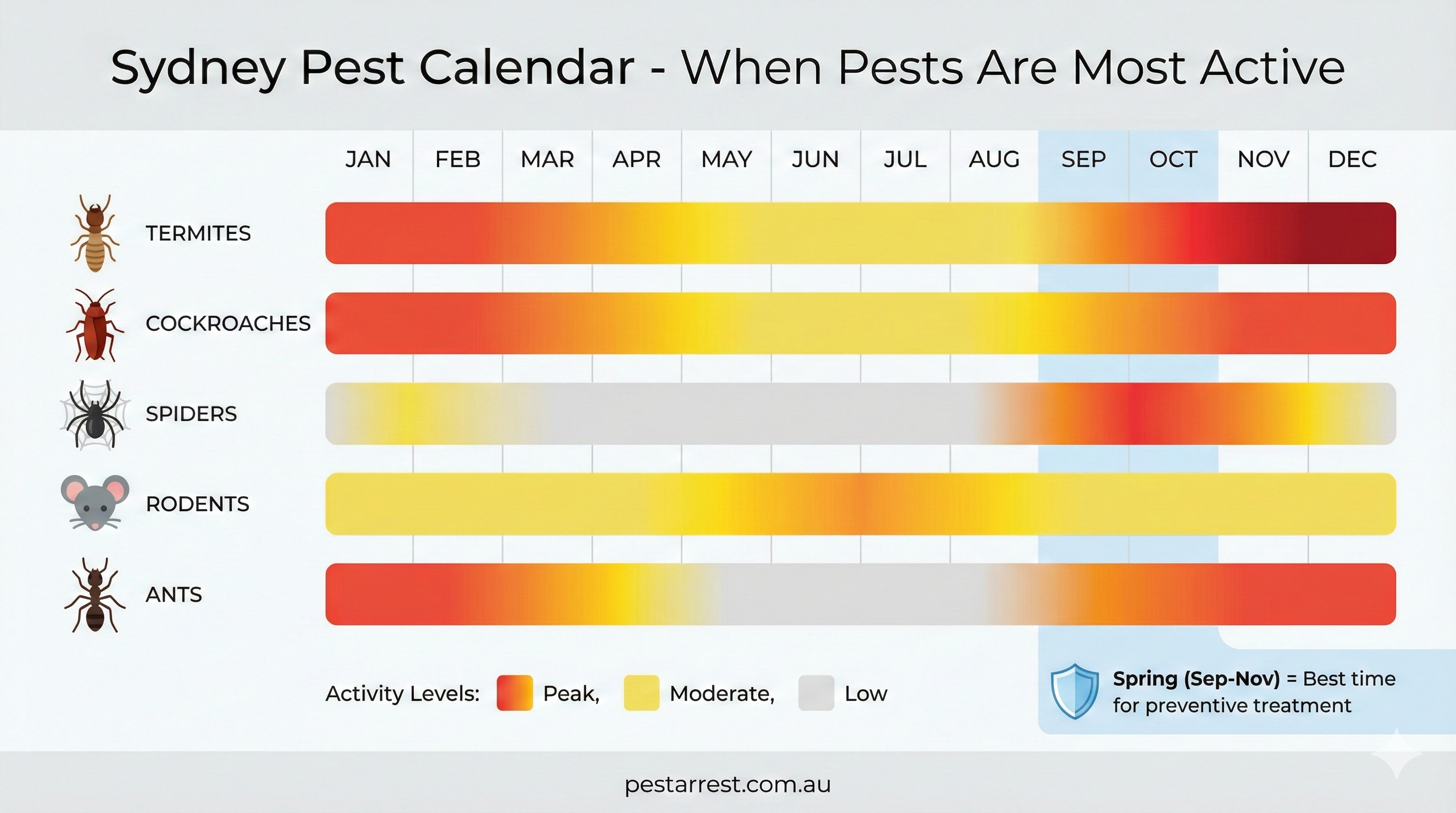Sydney pest calendar infographic showing seasonal activity levels for termites, cockroaches, spiders, rodents, and ants throughout the year with spring highlighted as best time for preventive treatment
